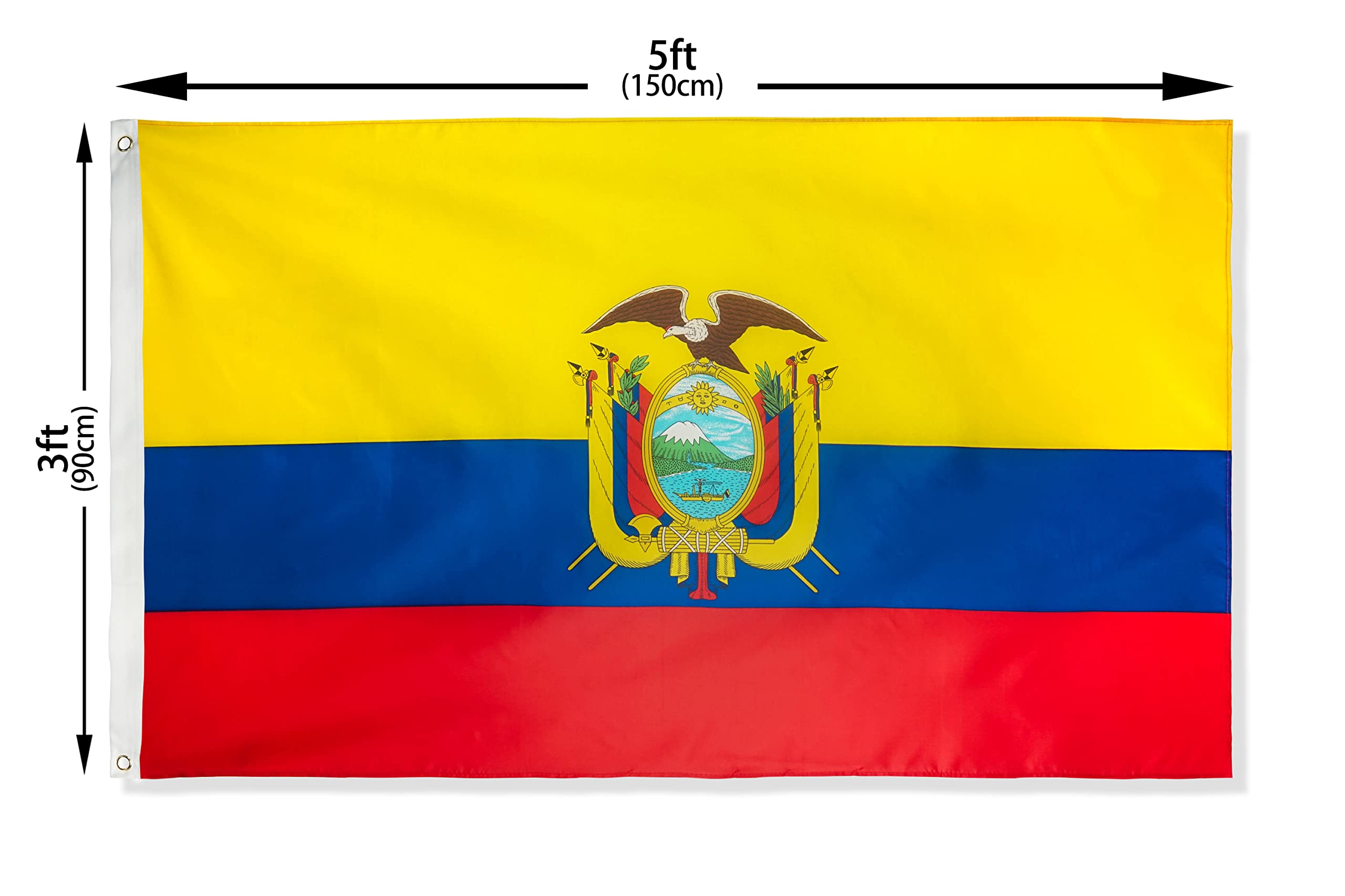 DANF FLAG 3x5 foot flag, indoor use display.
