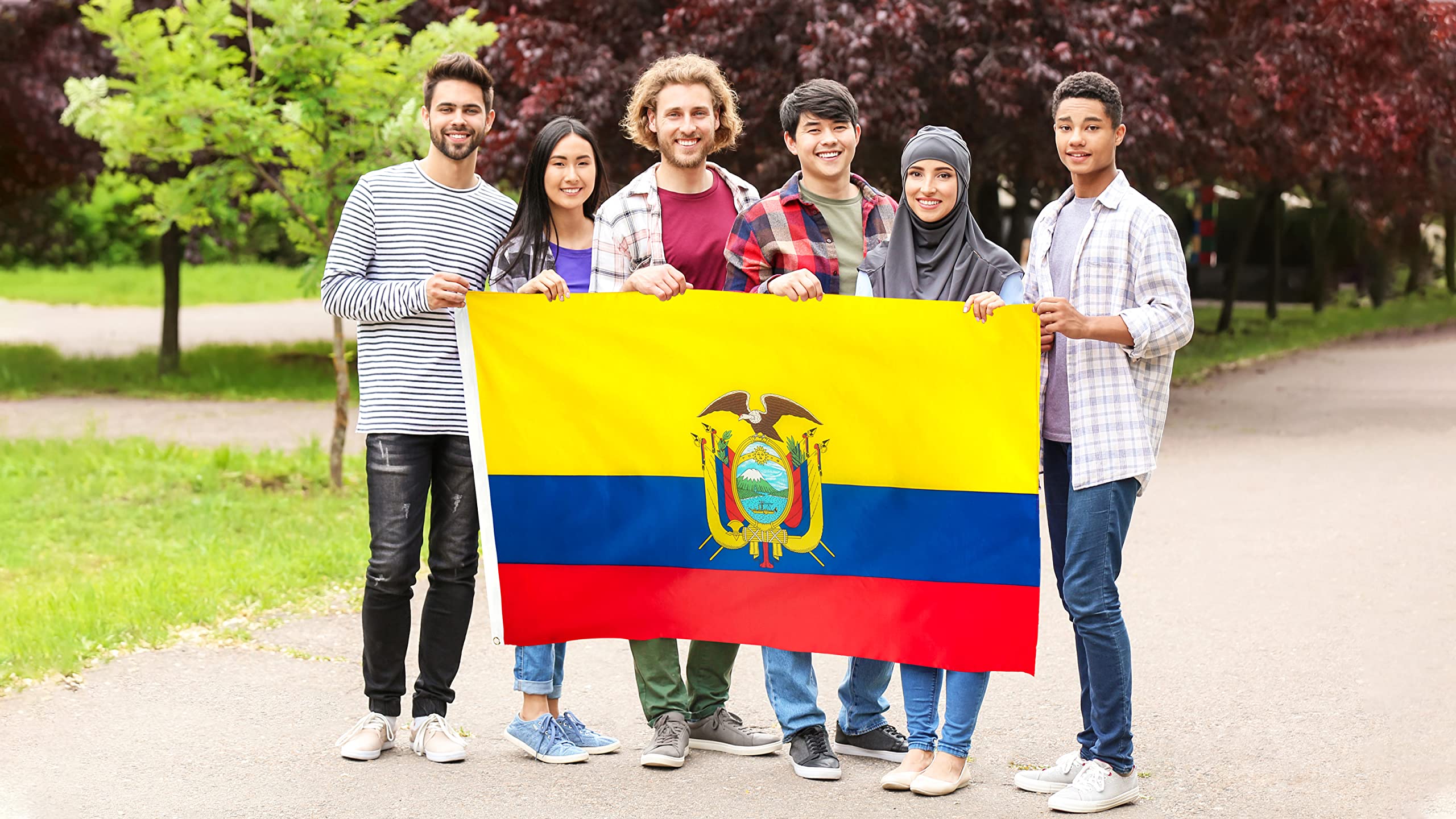 DANF FLAG Ecuador flag on wall, vivid colors.