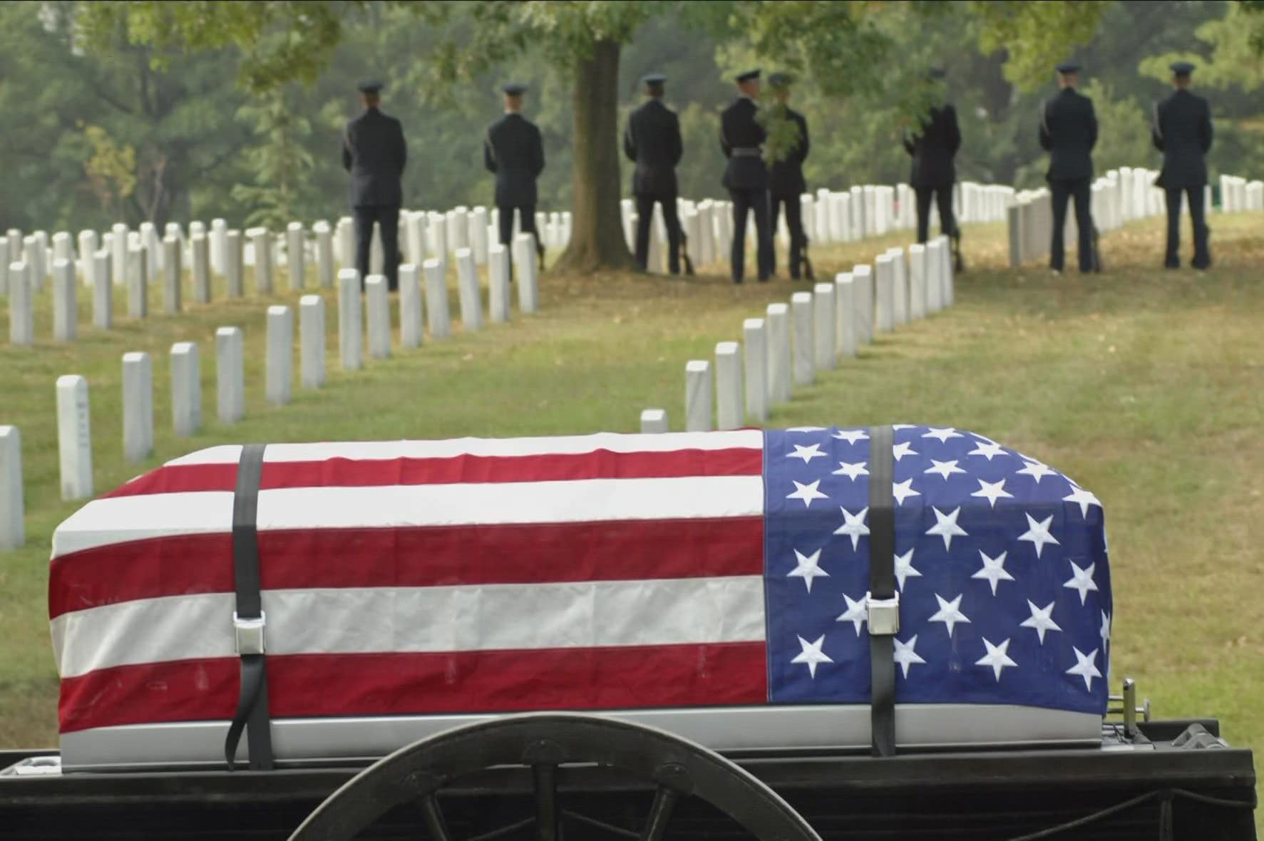 DANF FLAG 5x9.5 ft memorial flag designed for respectful tributes