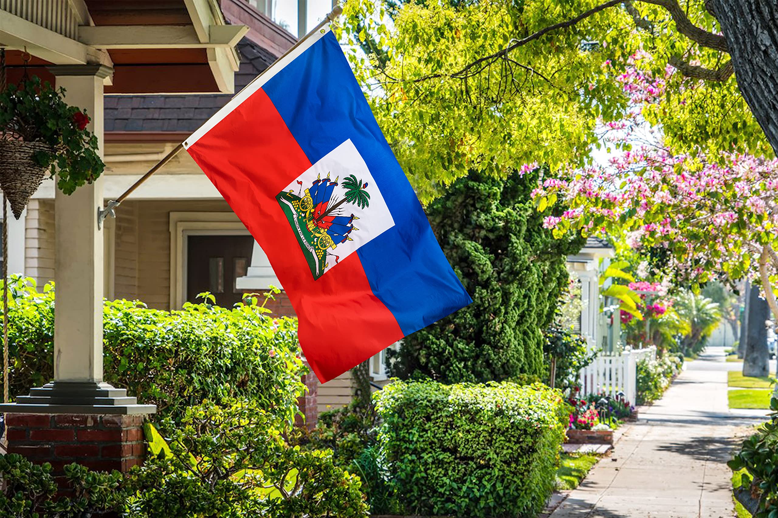DANF FLAG Haiti 3x5ft double-sided flag for clear visibility.