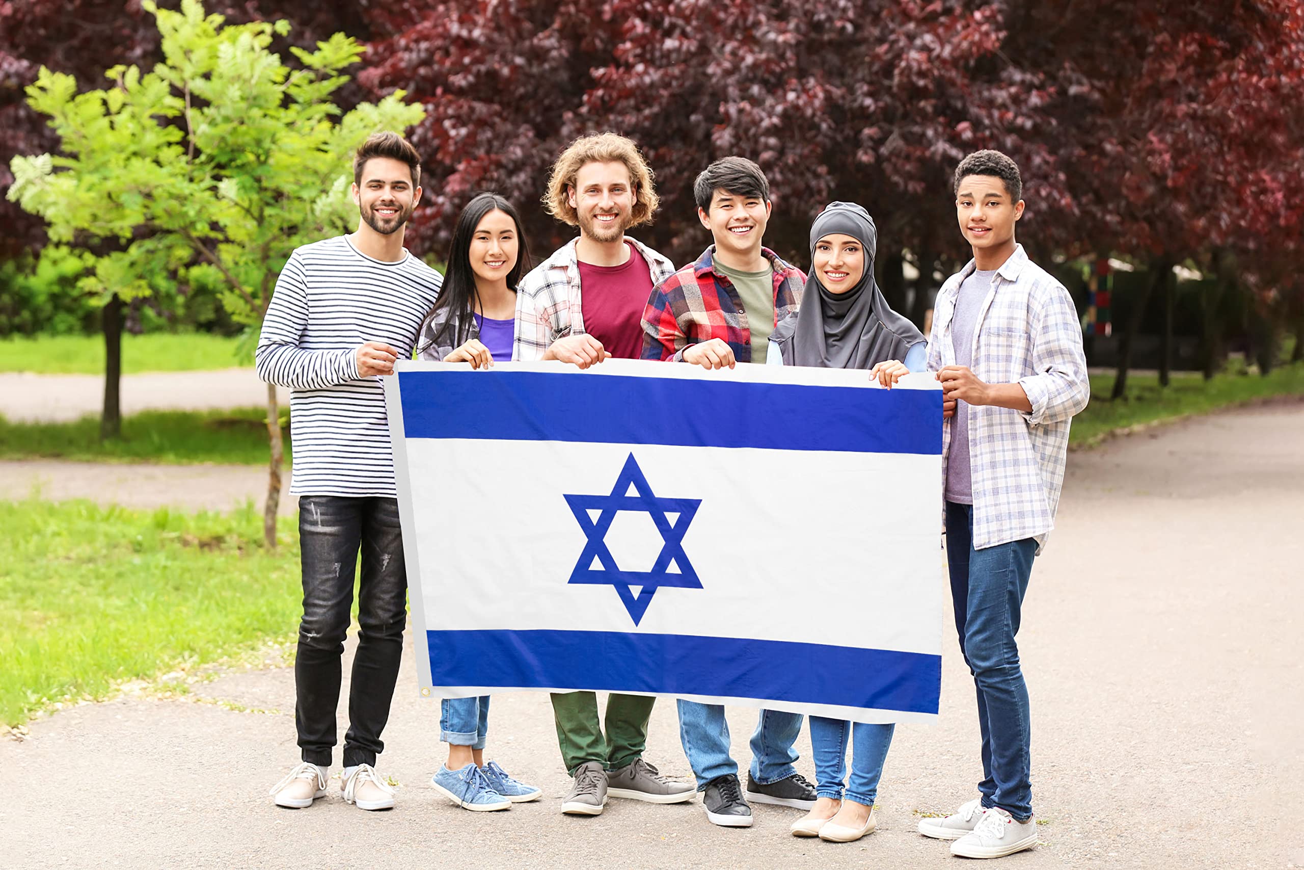 DANF Israel flag 3x5ft canvas header for secure wall hanging