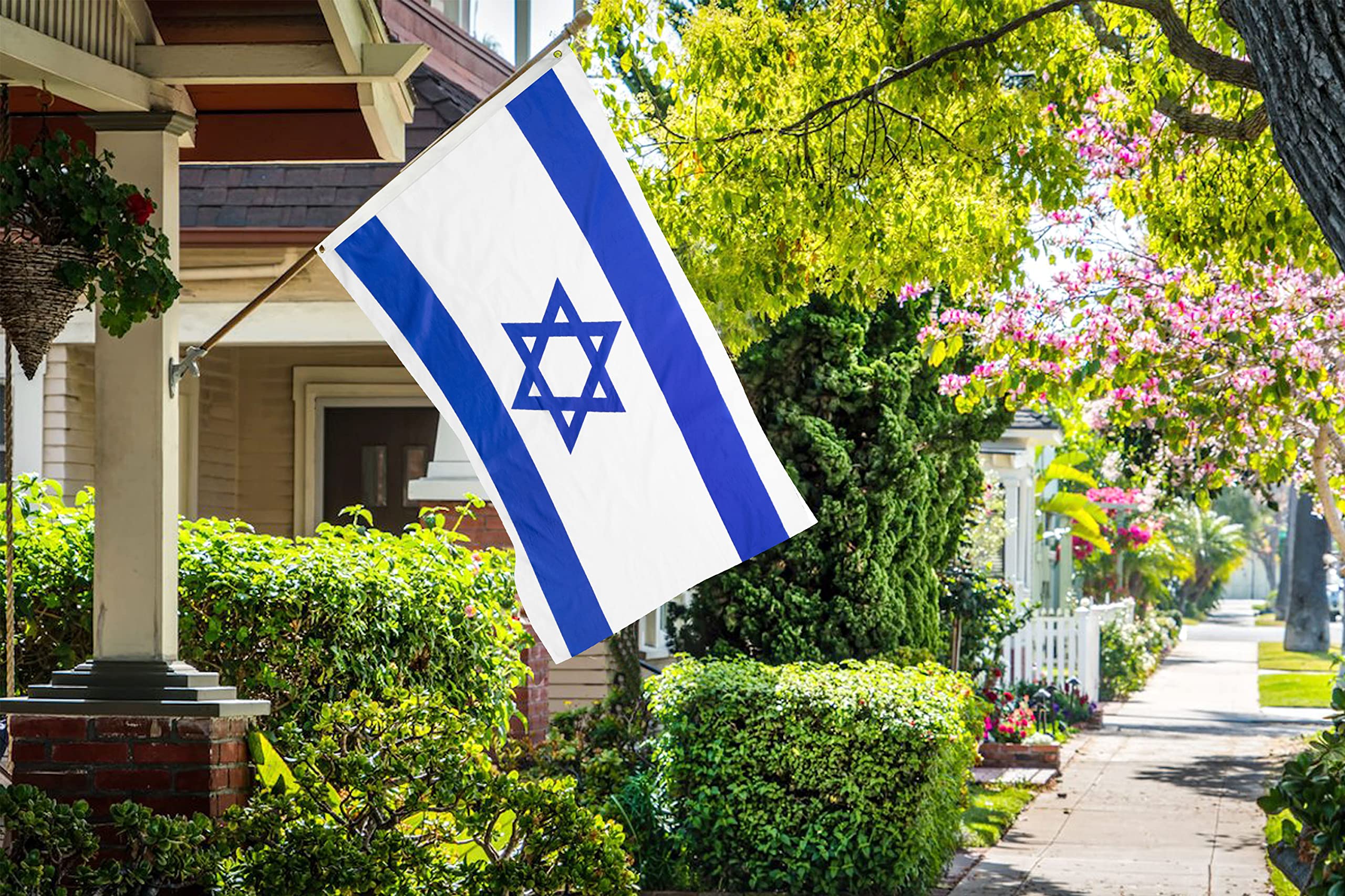 DANF Israel flag 3x5ft double-sided print visible from both sides