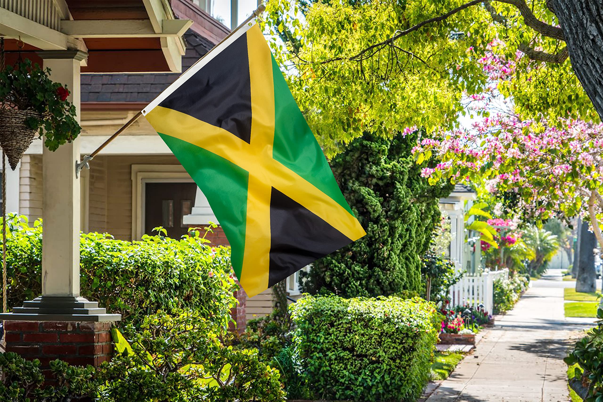 DANF Jamaica flag indoor-display; lightweight for effortless placement in any room.