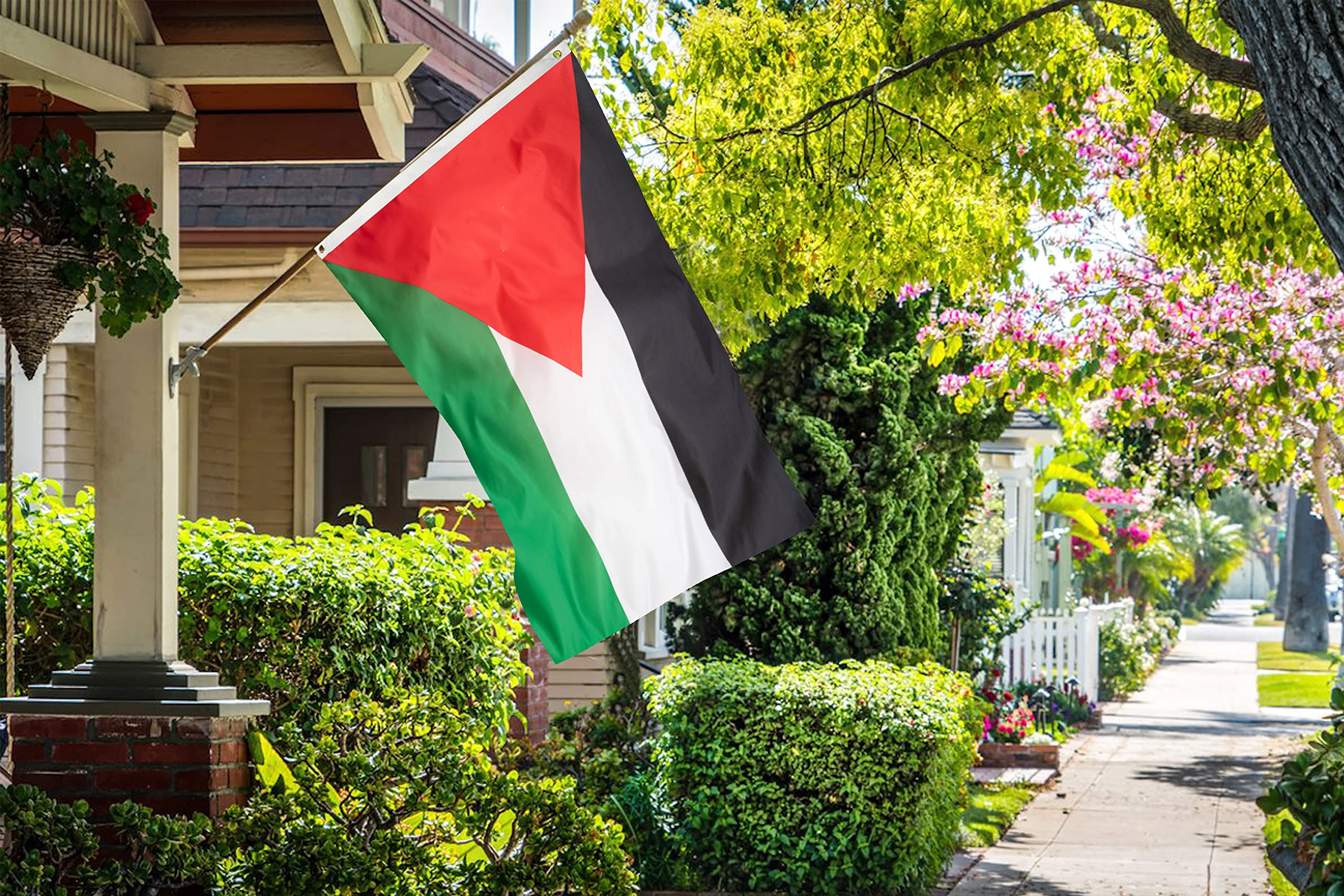 DANF Palestine flag wall display for indoor use.