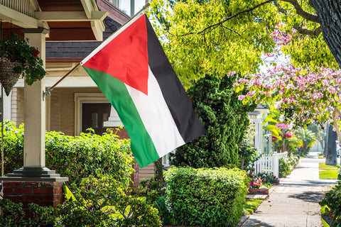 DANF Palestine flag wall display for indoor use.