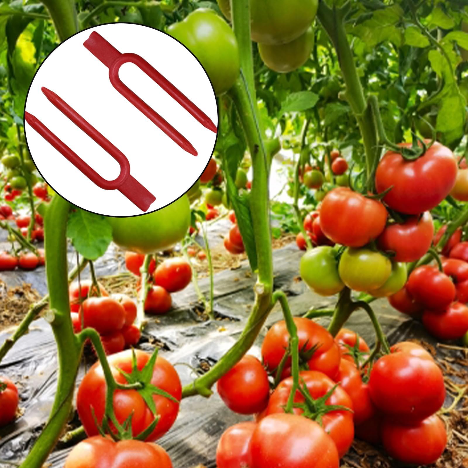 Dangjuacua weatherproof plant pins withstand outdoor use across seasons.