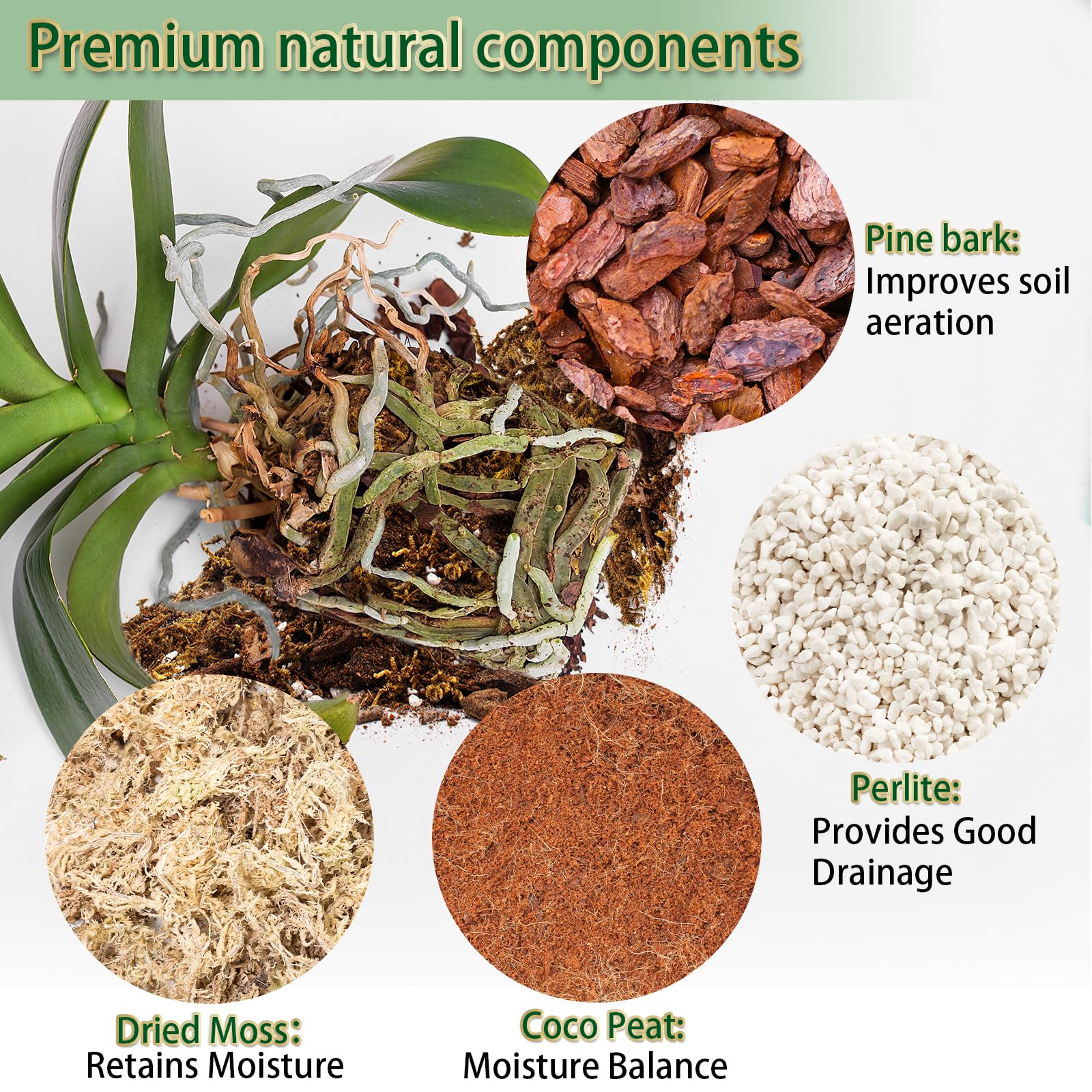 DANGKELILI orchid mix with coco peat maintains moisture for steady hydration.