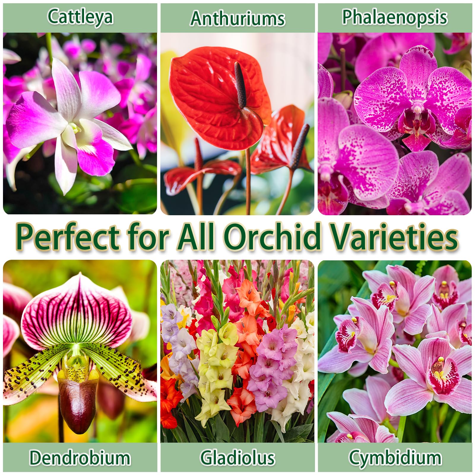 DANGKELILI orchid potting mix ready-to-use saves time during repotting.
