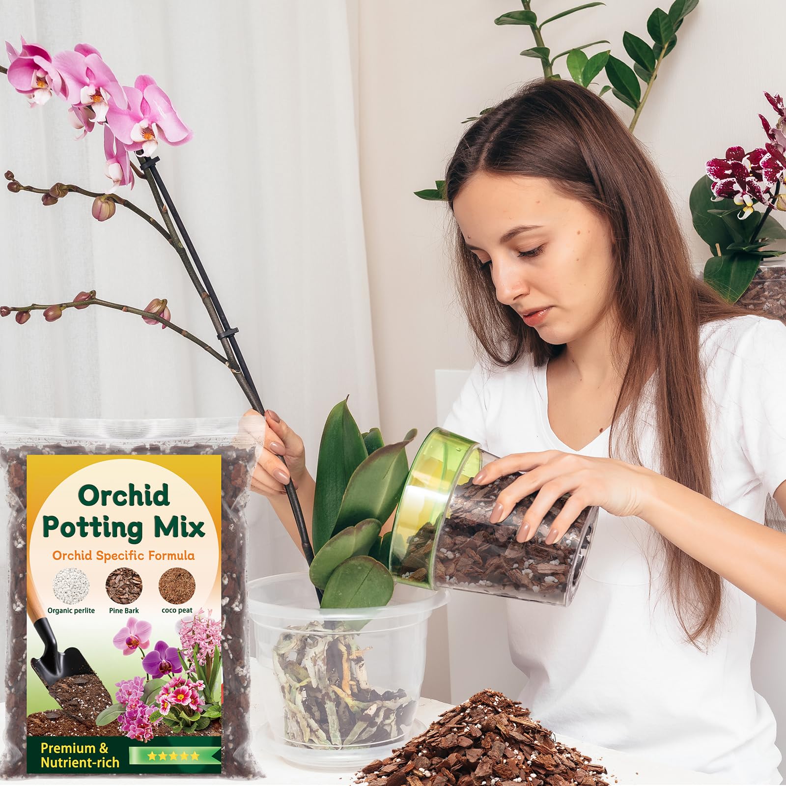DANGKELILI ready-to-use orchid mix ideal for repotting Phalaenopsis.