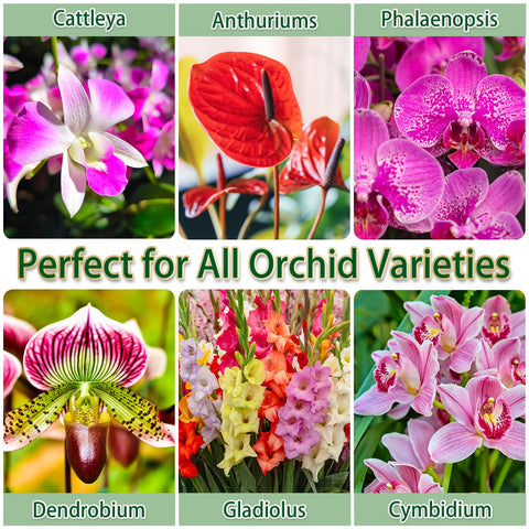 DANGKELILI orchid potting mix ready-to-use saves time during repotting.