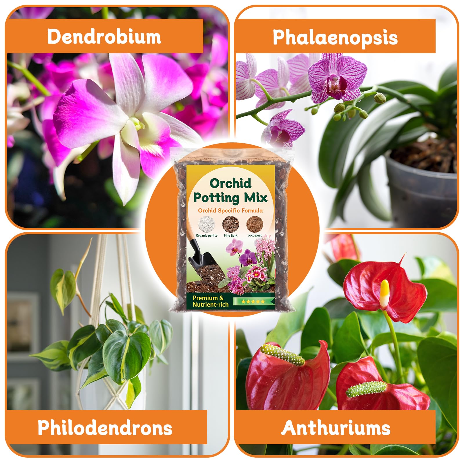 DANGKELILI orchid mix in resealable bag for convenient reuse.