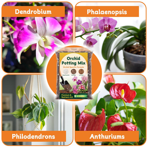 DANGKELILI orchid mix in resealable bag for convenient reuse.