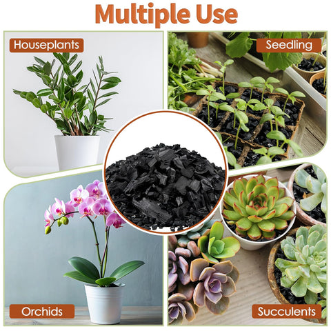 DANGKELILI terrarium soil with charcoal creates a cleaner root environment