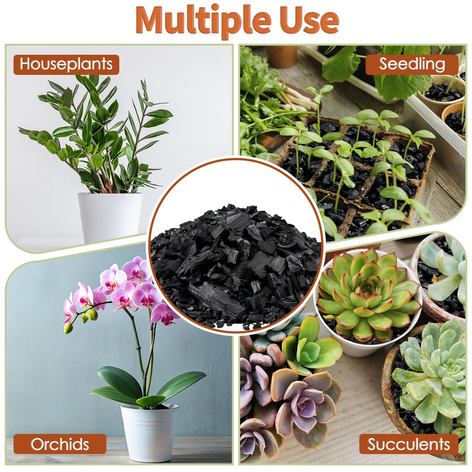 Dangkelili indoor hanging plant setup promotes moisture balance and healthy roots.