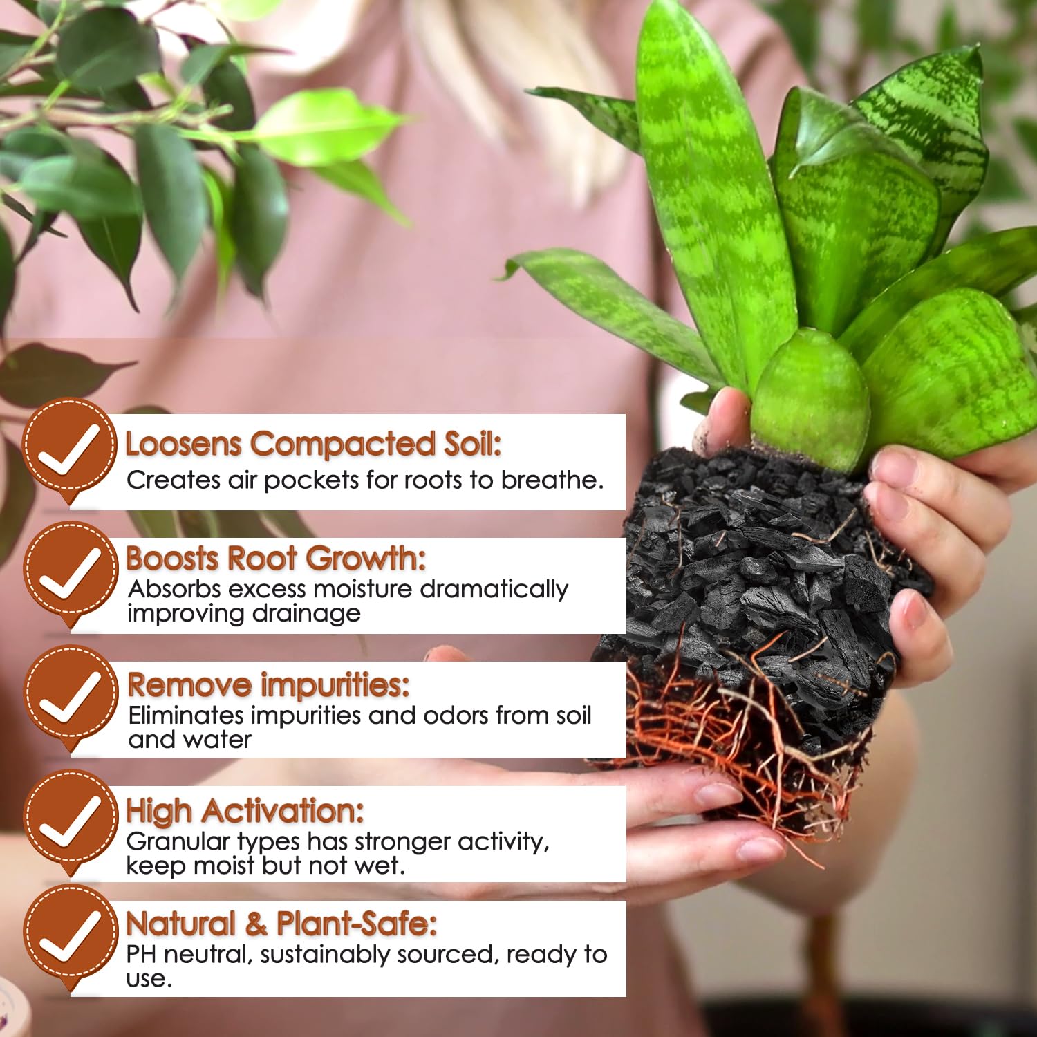 Dangkelili orchid soil mix illustrates nutrient retention and cleaner growing media.