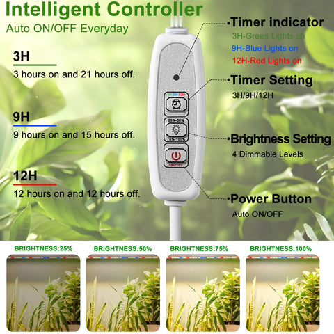 Danhh 3-timer dimmable feature enabling automated lighting for seedlings.