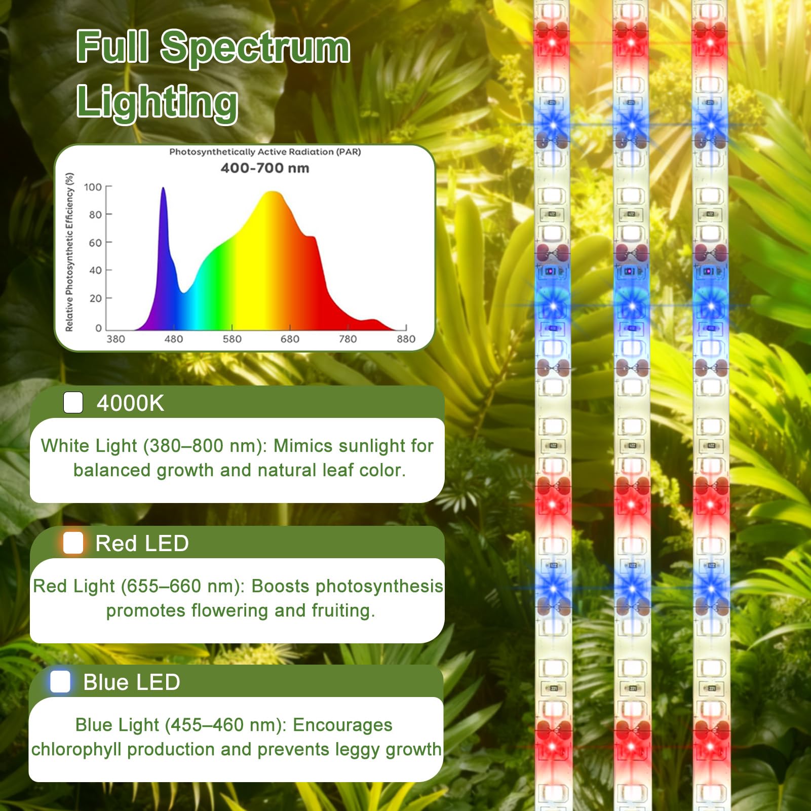 Danhh LED grow light strip setup demonstrating even illumination for healthy leaves.