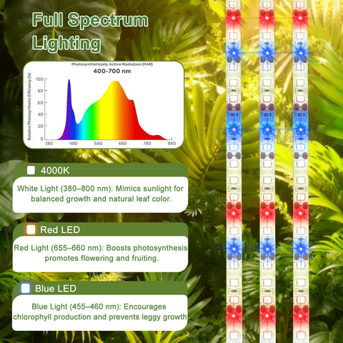 Danhh LED grow light strip setup demonstrating even illumination for healthy leaves.