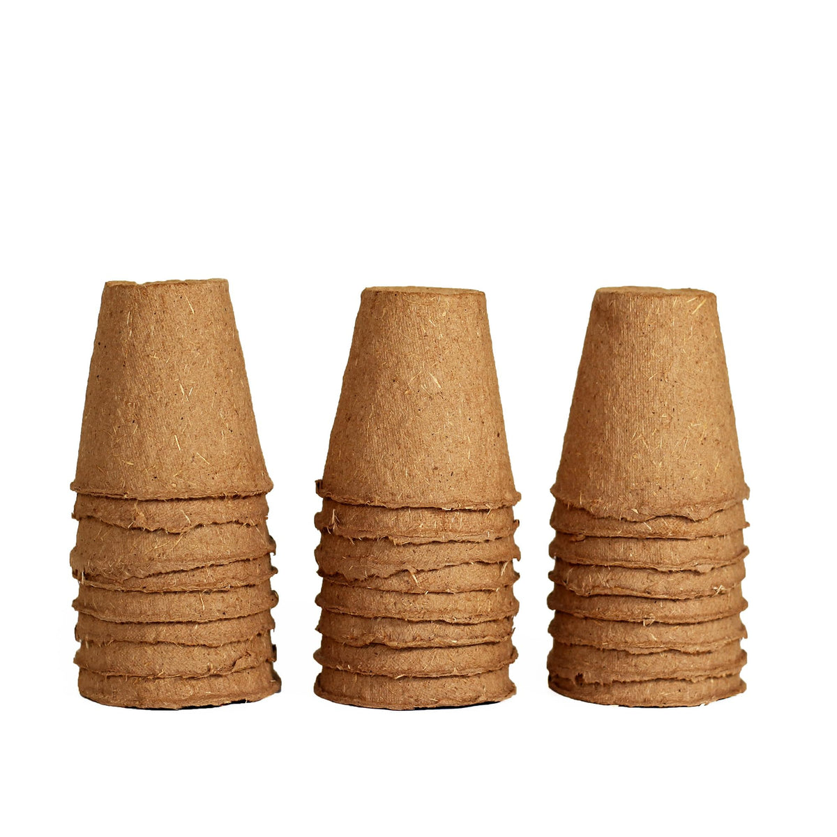 Daniel's Plants 2-Inch Naked Pot top view, natural spruce fibers suited for seed starting