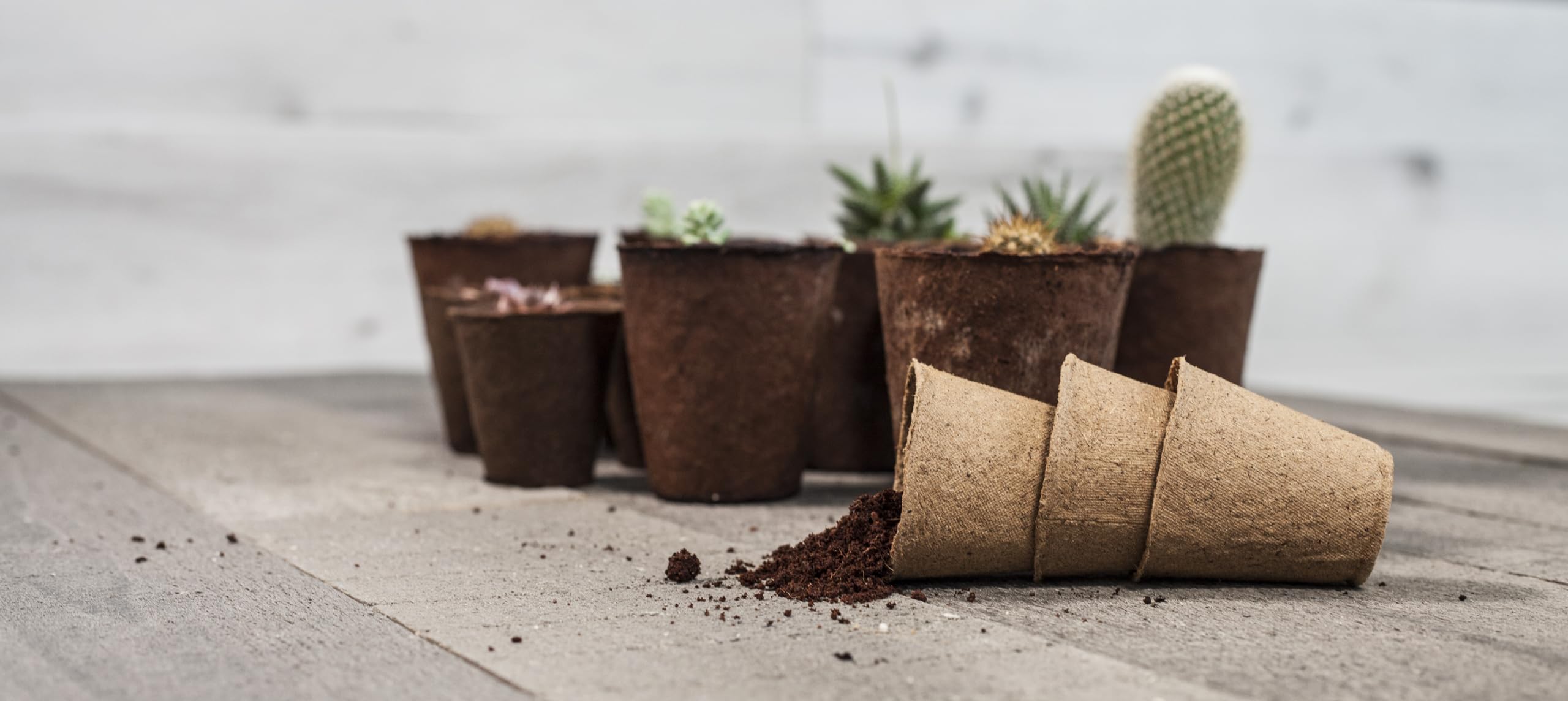 Daniel's Plants 30-pack seed starter pots.