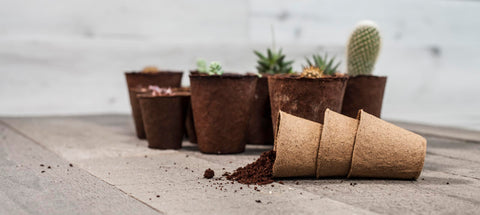 Daniel's Plants 30-pack seed starter pots.