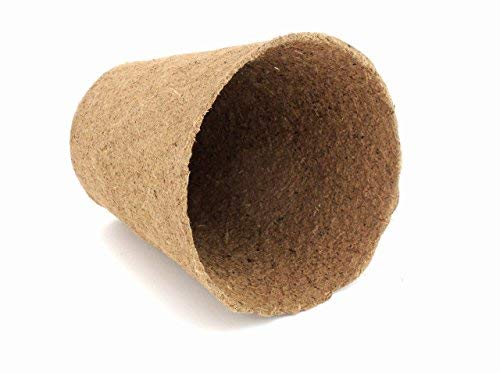 Daniel's Plants 3-inch naked pot highlighting peat-free, biodegradable materials.