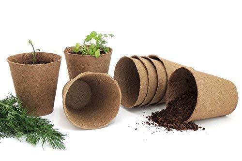 Daniel's Plants 3-inch naked pot made from natural spruce fibers.