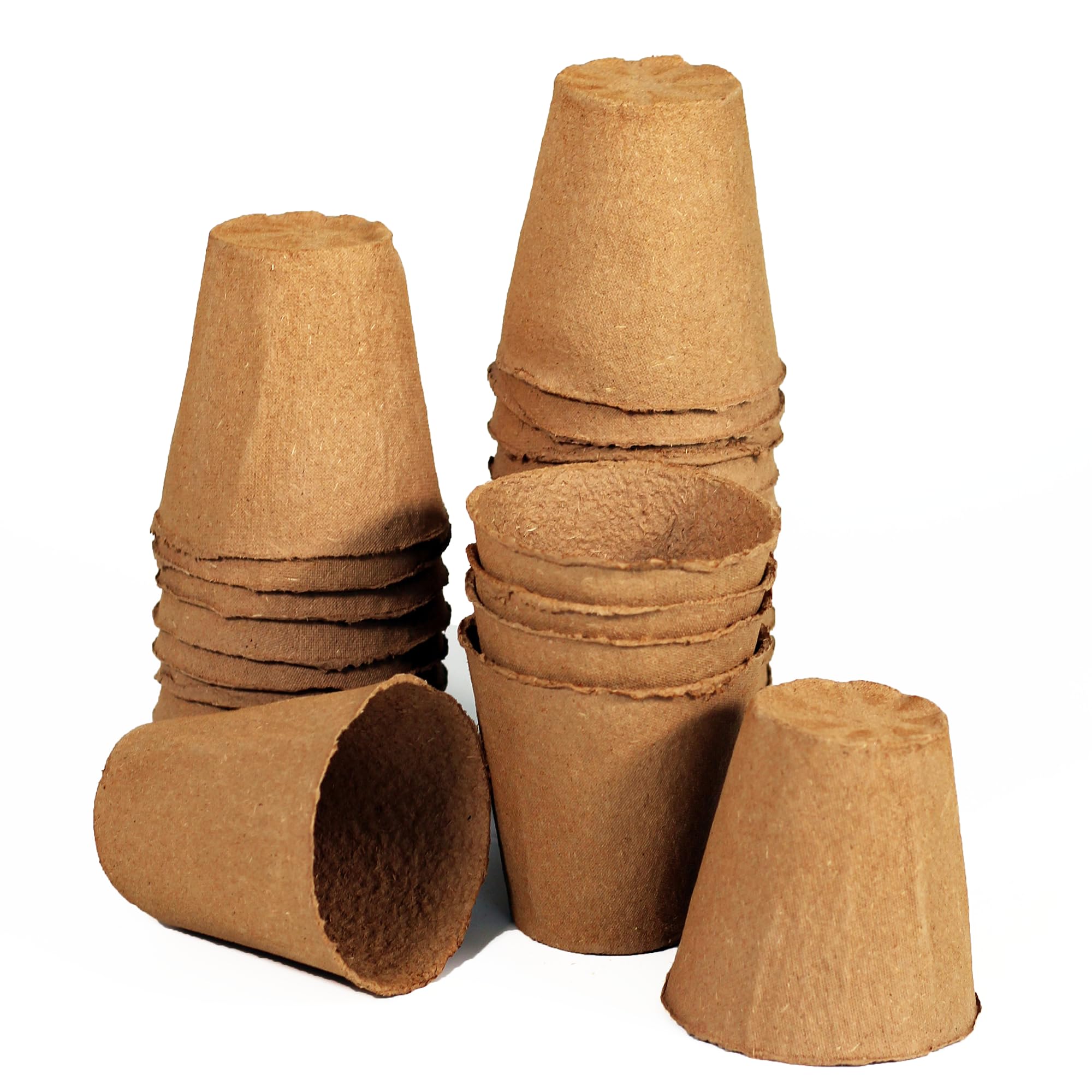 Daniel's Plants pot promotes easy transplanting into garden soil.