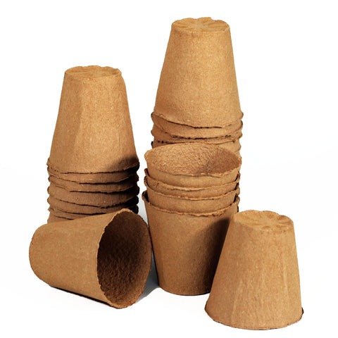 Daniel's Plants pot promotes easy transplanting into garden soil.