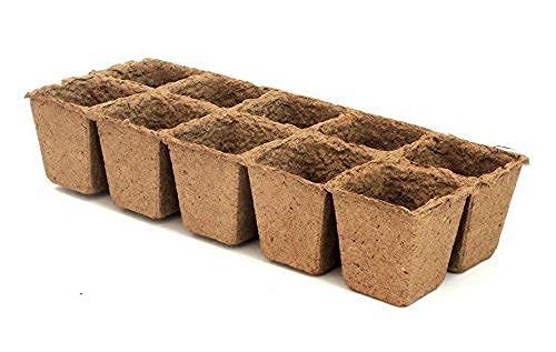 Daniel's Plants peat-free seedling pots for sustainable transplant-ready starts.