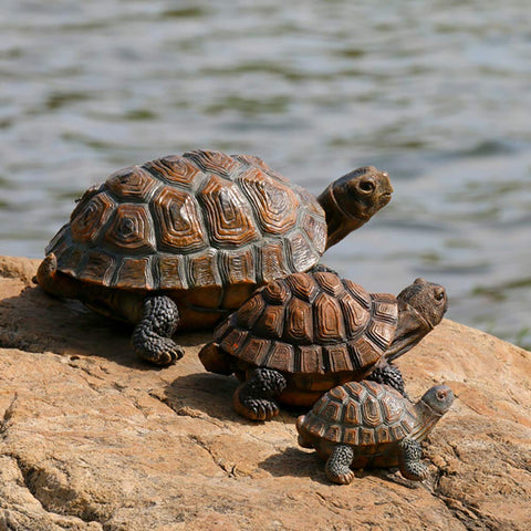 Danmu tortoise gift idea for gardeners and animal lovers
