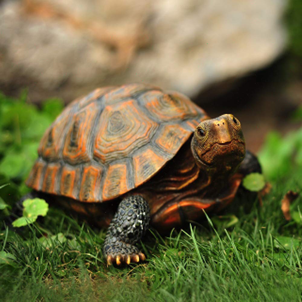 Danmu tortoise yard sculpture suited for porch or patio displays