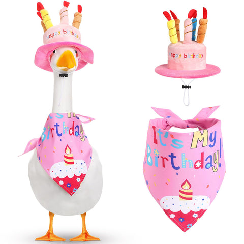 Dansydaisy happy birthday goose hat pink adds festive flair for lawn geese.