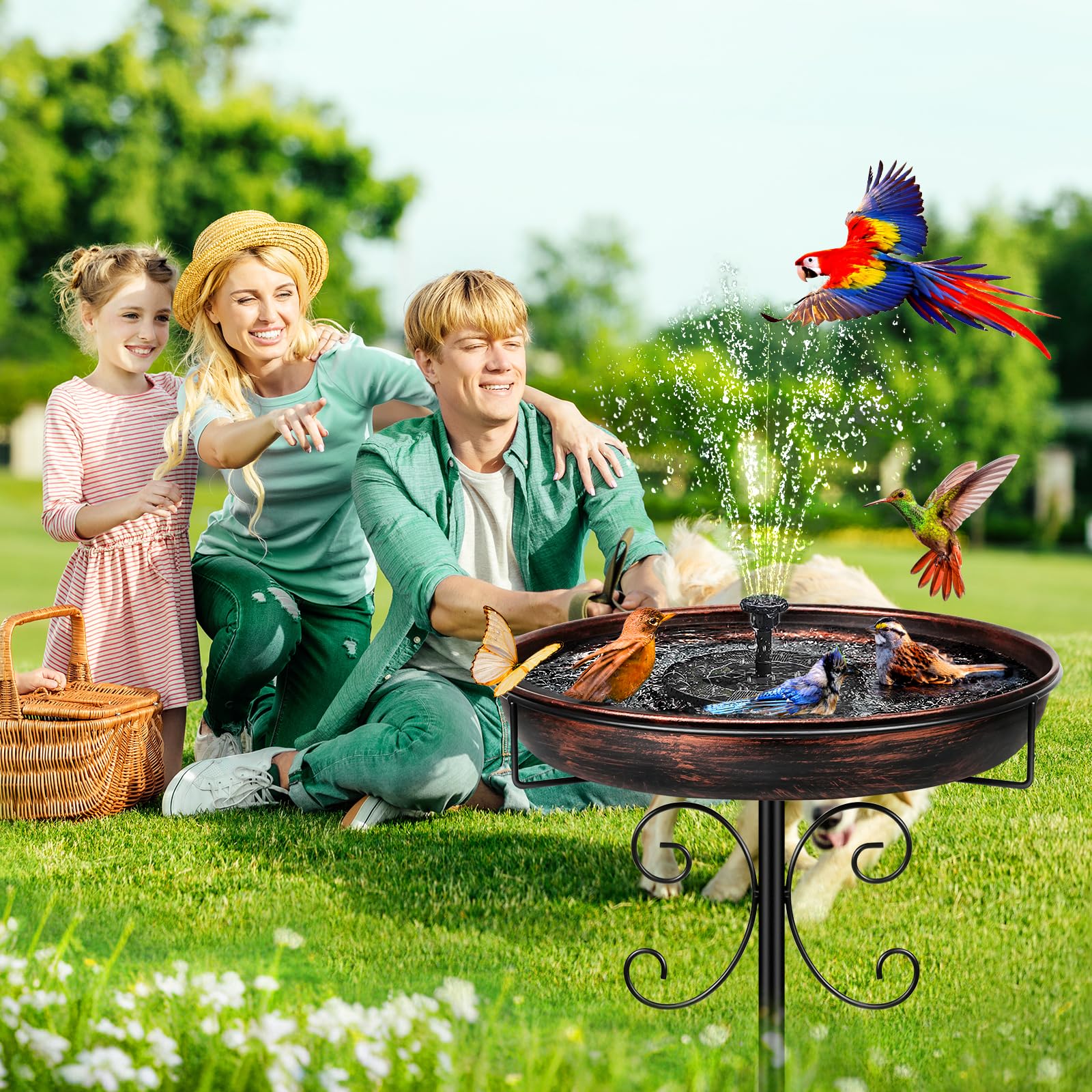 Daoeny birdbath in a garden setting enhances yard decor.