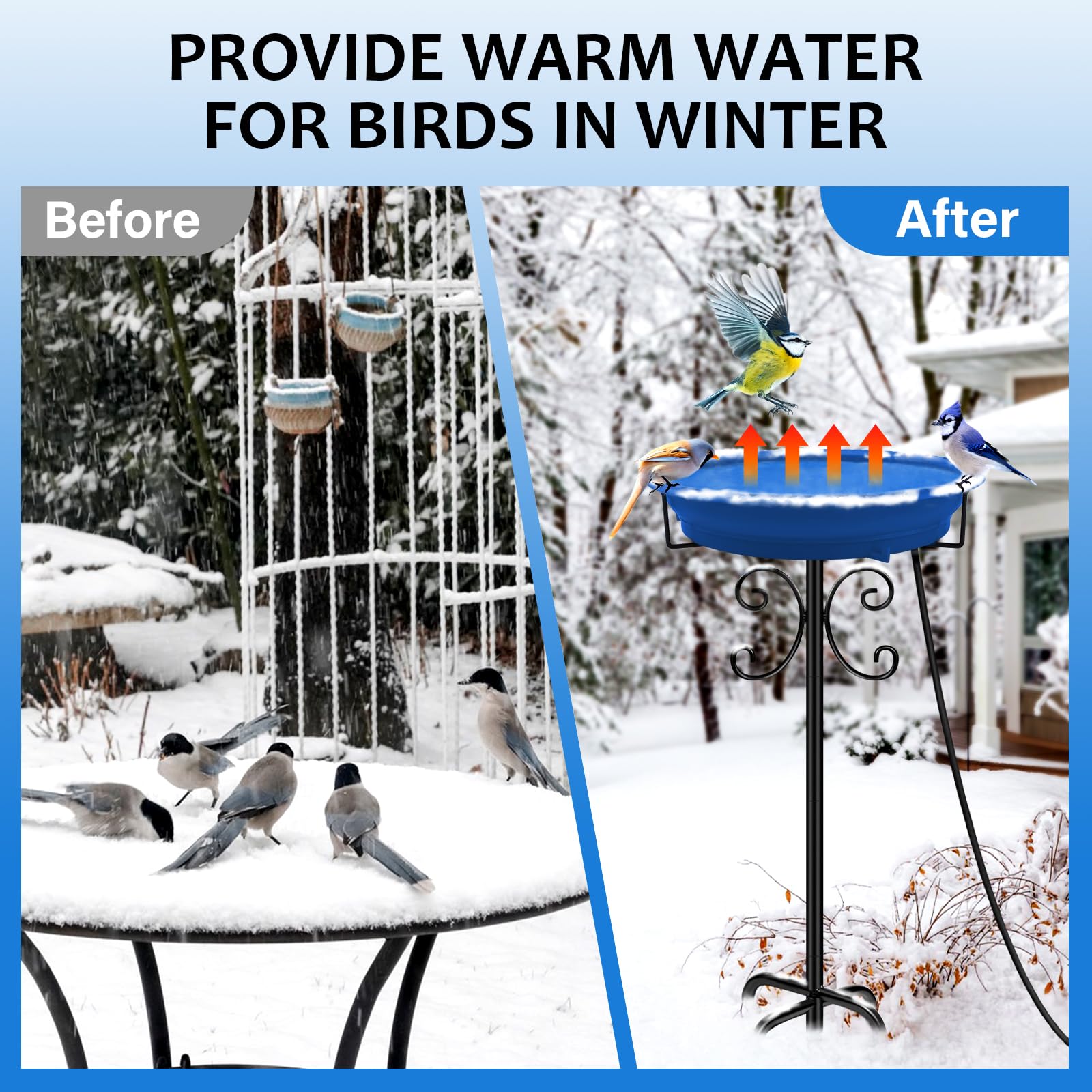 Daoeny heated bath helps birds stay hydrated during wintertime.