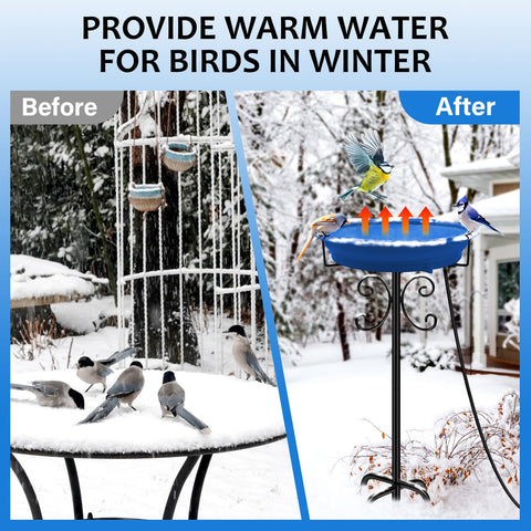 Daoeny heated bath helps birds stay hydrated during wintertime.