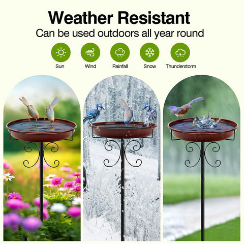 Daoeny easy-clean detachable bowl enables quick maintenance.