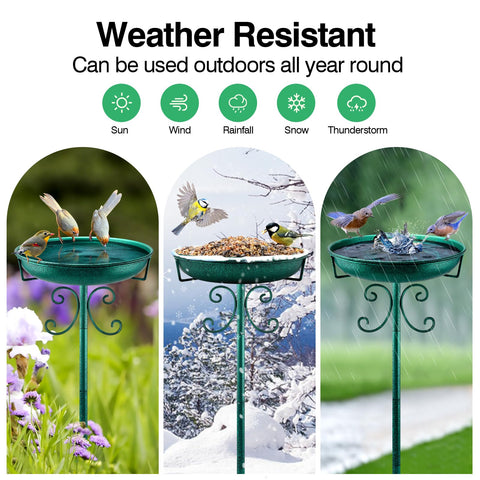 Daoeny green outdoor bird bath blends with garden decor.