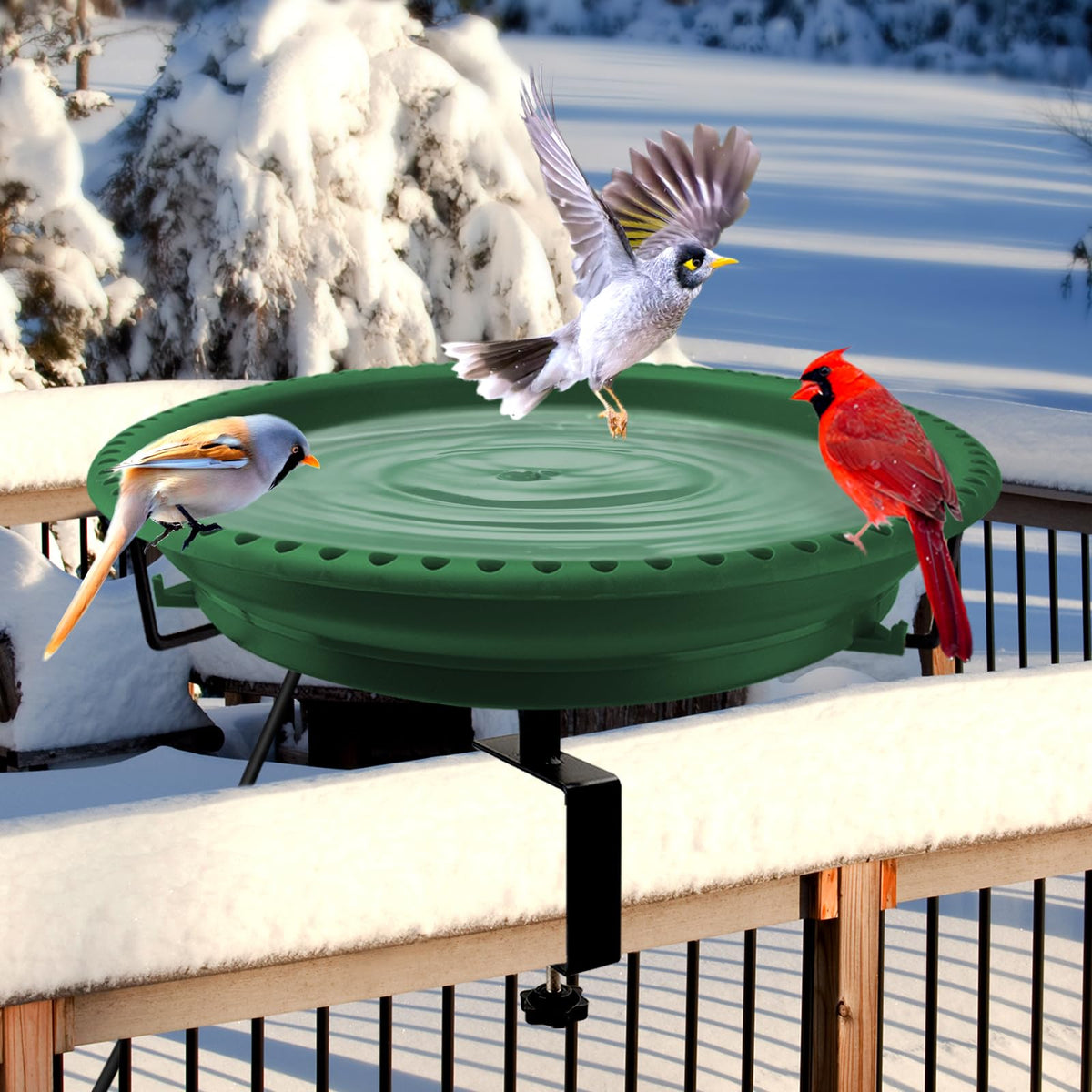 Daoeny heated bird bath mounted on a deck rail with 100W heating for rapid deicing
