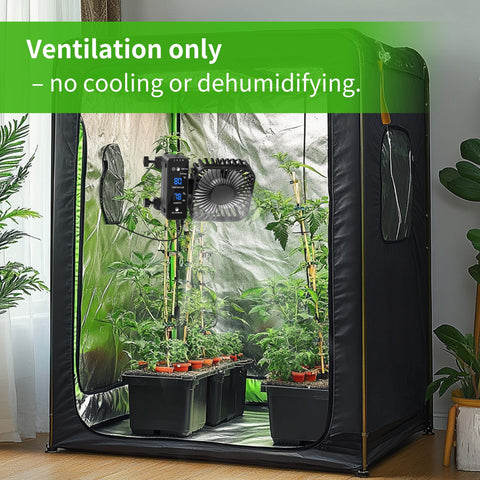 DAOTAILI desktop-friendly grow fan for indoor gardens and desktops