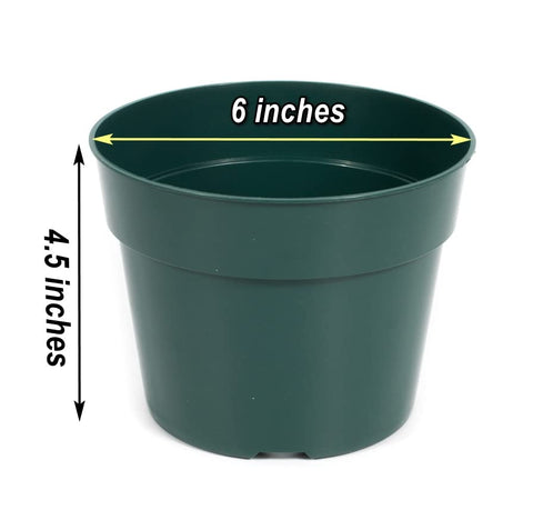 DAPERCI green 6inch nursery pot with thick plastic supports long-term indoor planting.