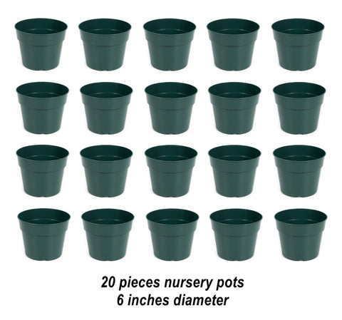 DAPERCI 6inch nursery pot shows drainage holes for healthier soil and roots.