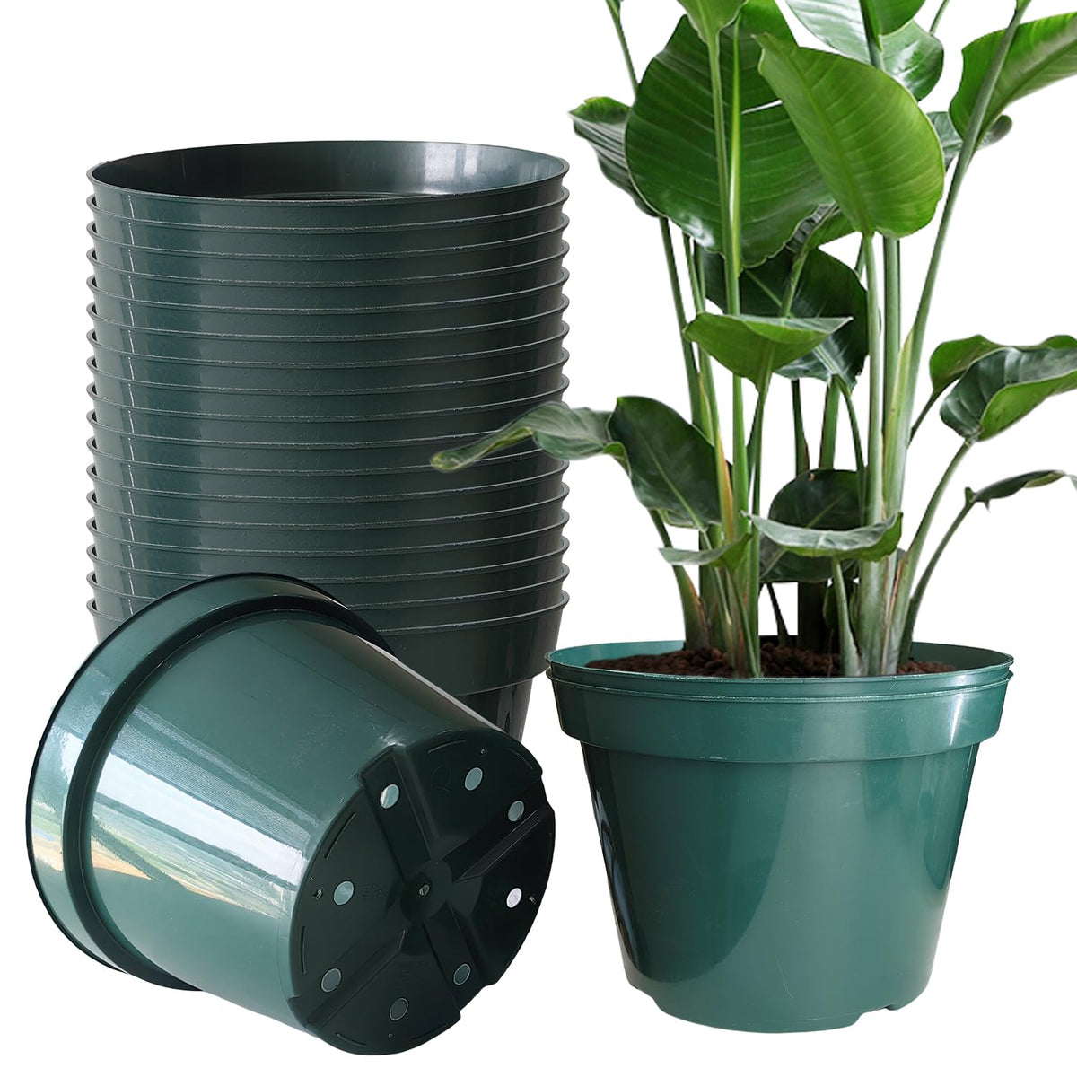 DAPERCI RooTrimmer 8-inch pot front view, ideal for seedling starts outdoors