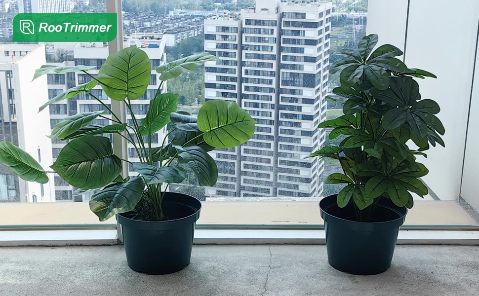 DAPERCI RooTrimmer 8-inch pot indoors with healthy seedlings