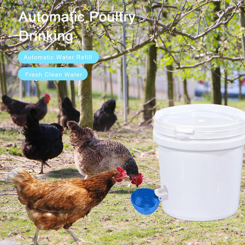 Darcvds easy-install waterer kit simplifies setup and cleaning
