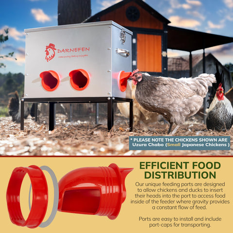 Darnefen galvanized steel chicken feeder resists weather and wear.