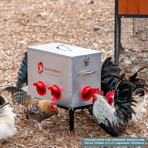 Darnefen weatherproof chicken feeder withstands outdoor coop conditions.