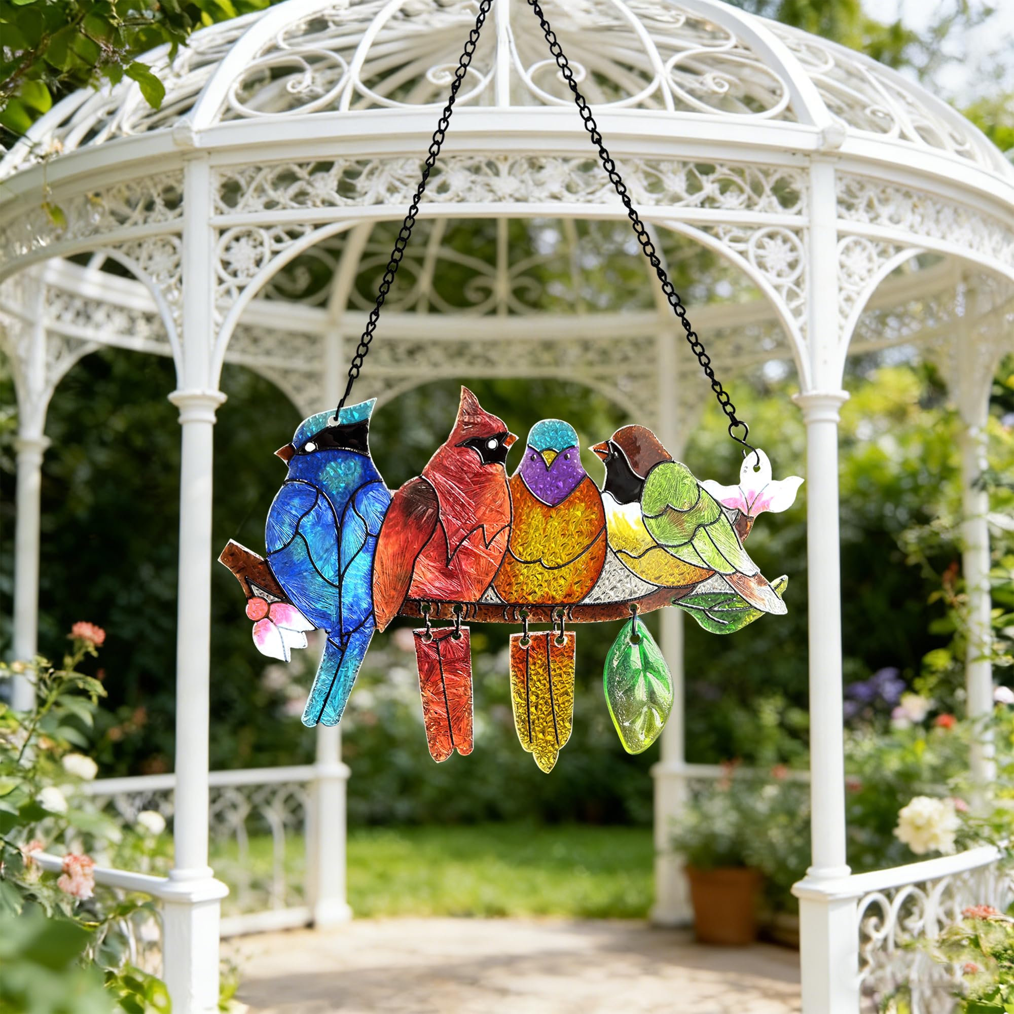 DASTOLL swaying hummingbird tail in bright light