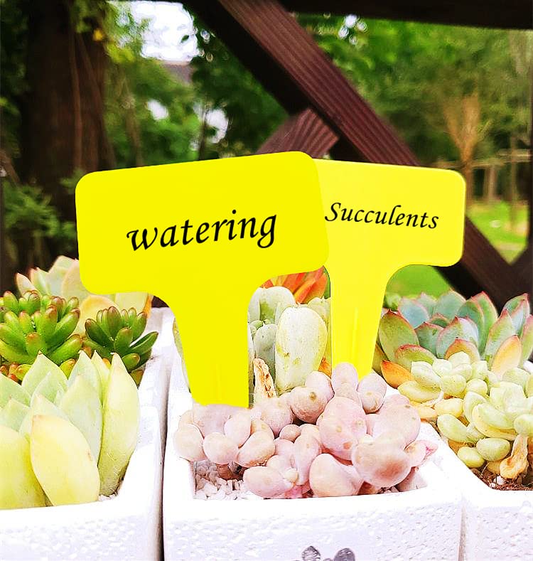 DaTpuik reusable garden labels save time and reduce waste.