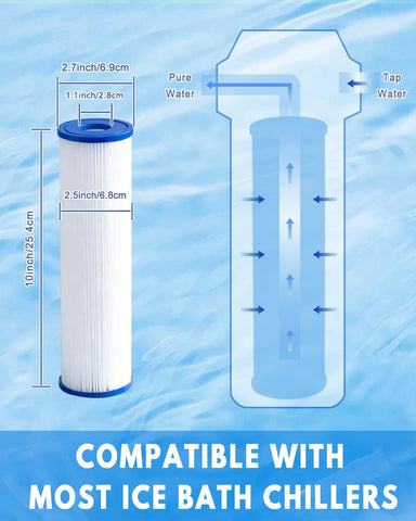 DAYEAR six-pack packaging shown for ongoing filtration needs